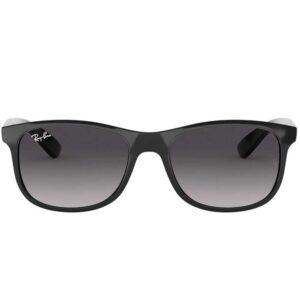 Ray-Ban RB4202 Andy